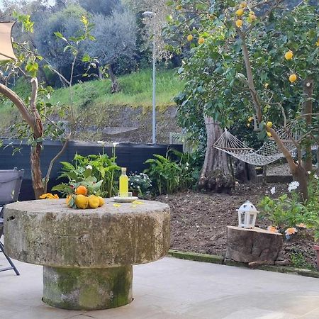 Rita Home B&B Sorrento Dış mekan fotoğraf
