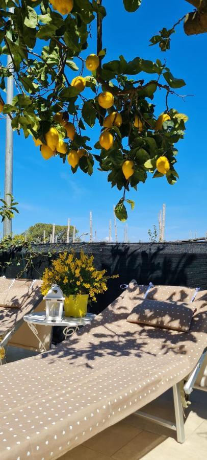 Rita Home B&B Sorrento Dış mekan fotoğraf