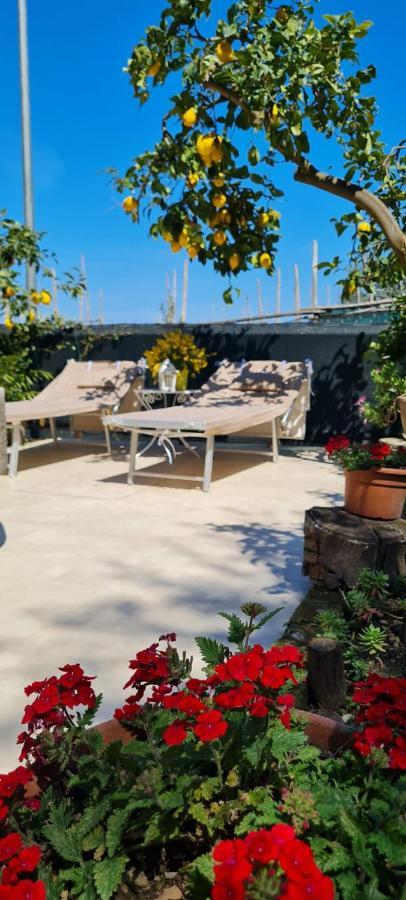 Rita Home B&B Sorrento Dış mekan fotoğraf